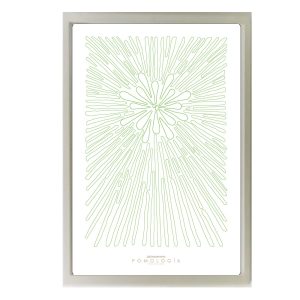 Poster Pomología Línea - Verde