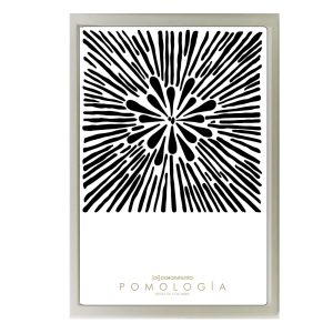 Poster Pomología Plano - Negro