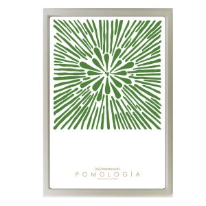 Poster Pomología Plano - Verde